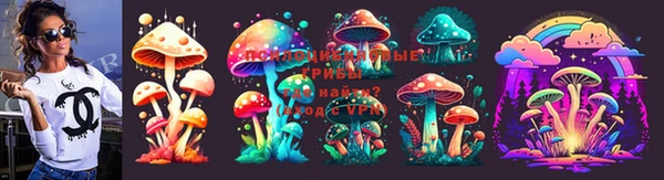 стаф Тутаев
