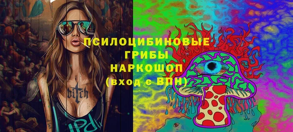 крисы Алзамай