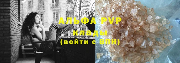 стаф Тутаев