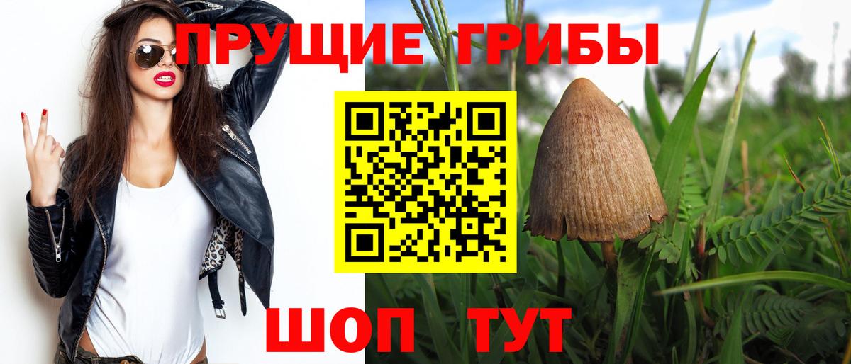 Псилоцибиновые грибы MAGIC MUSHROOMS  Вход с VPN  Псилоцибиновые грибы MAGIC MUSHROOMS  как найти закладки  Находка 