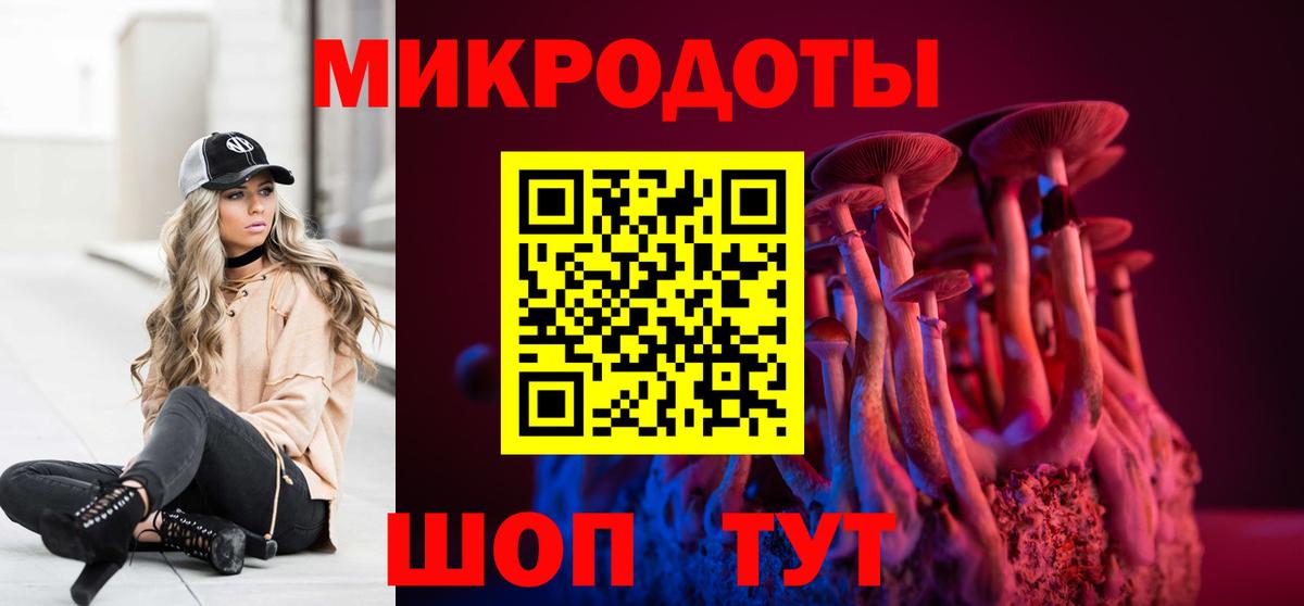 Псилоцибиновые грибы Cubensis Находка